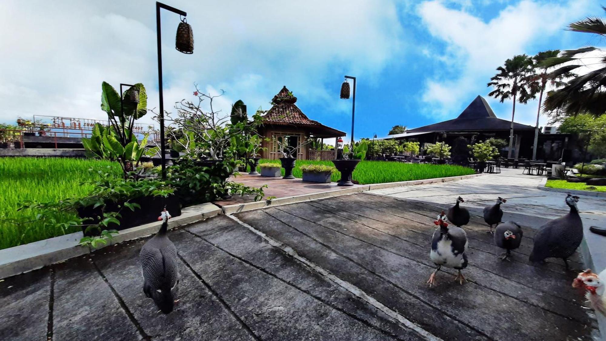 Abhayagiri - Sumberwatu Heritage Resort Randugunting Exterior foto