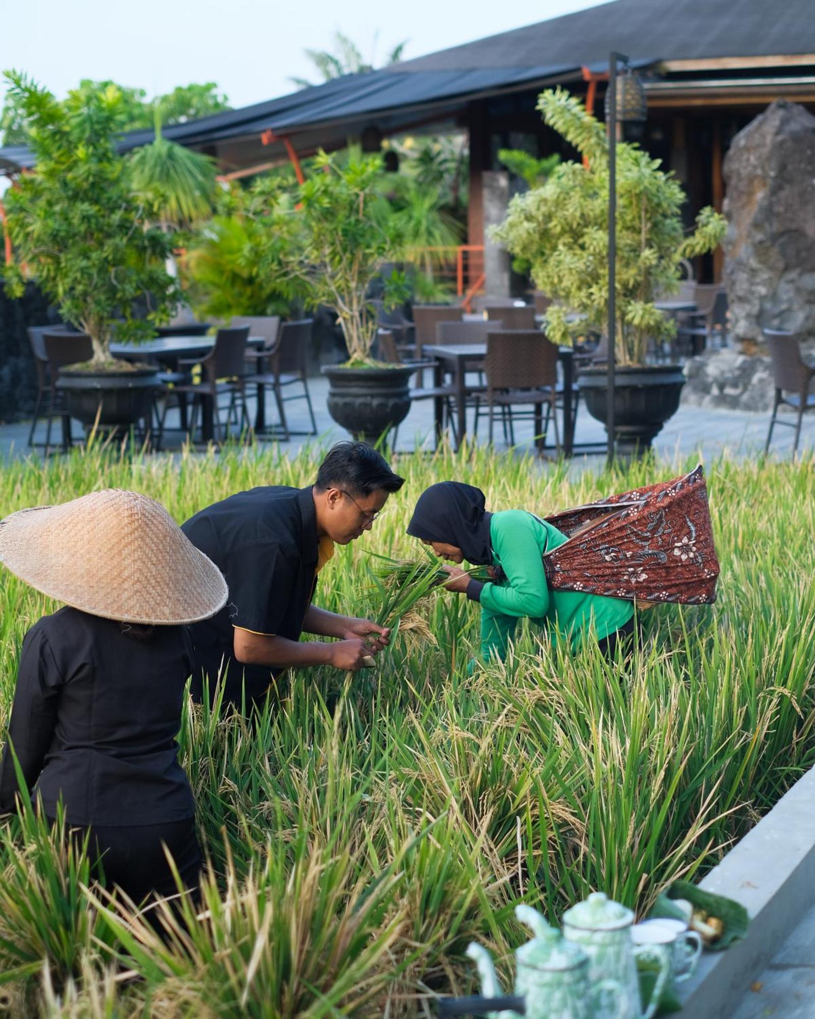 Abhayagiri - Sumberwatu Heritage Resort Randugunting Exterior foto